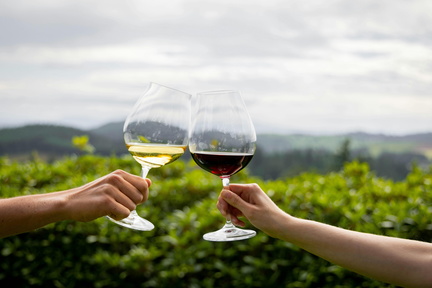 Memorial Day Weekend Tour &amp; Tasting