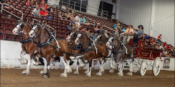 Royal KC Draft Horse Show