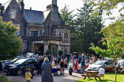 Spring Socials Insole Court