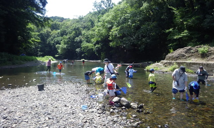 Searching for river creatures, Saitama Jp