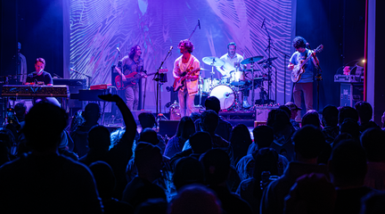 Strangers Stopping Strangers: A Tribute to the Grateful Dead