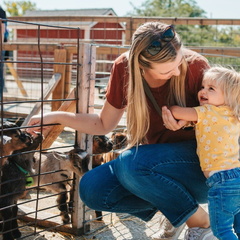 Springtime on the Farm