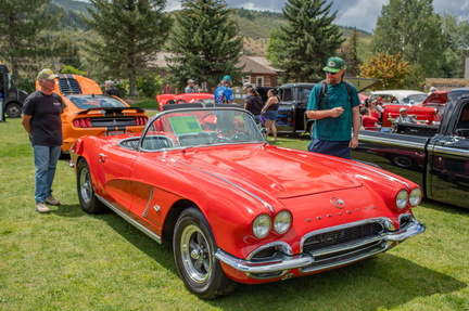 Cars in the Park