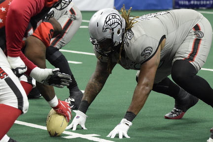 Carolina Cobras