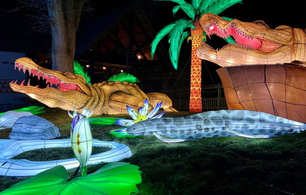 event-gallery-5-crocodile-lantern-at-zooluminate-at-hogle-zoo-1744335830-1536x978