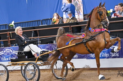 The Madison Classic Horse Show