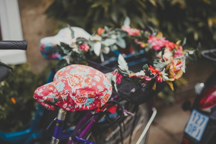elina-bernpaintner-4xfmGWN3lf8-unsplash