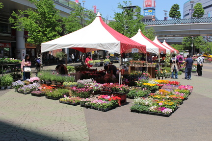 28th Spring Gardening Festival Kawaguchi Station
