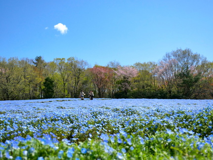 Happy Spring Festa Musashi Park