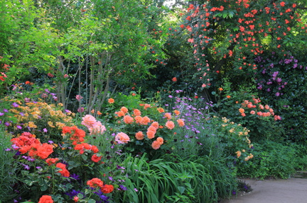 Rose Festival Yokohama English Garden