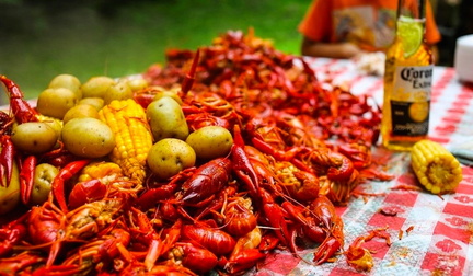 The Annual Sundress and Shorts Crawfish Festival