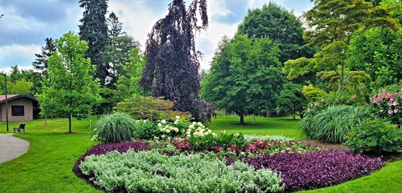 Brueckner Rhododendron Gardens Tour