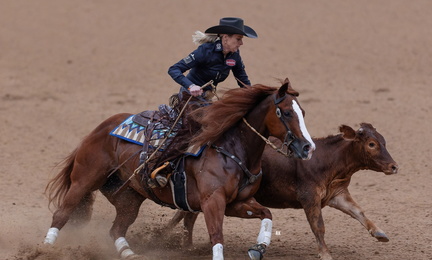 NRCHA Kimes Ranch Derby