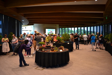 3rd Annual Bonsai Weekend