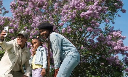 Peak Bloom Season