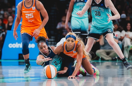 New York Liberty v. Connecticut Sun (Ellie's Birthday)
