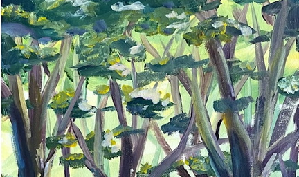 Sip and Paint in Melbourne Evening in the Woods