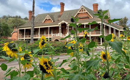 Guided Tour of Urrbrae House