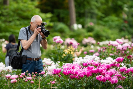 Prime Time Peonies at The Arb with Travis Howell