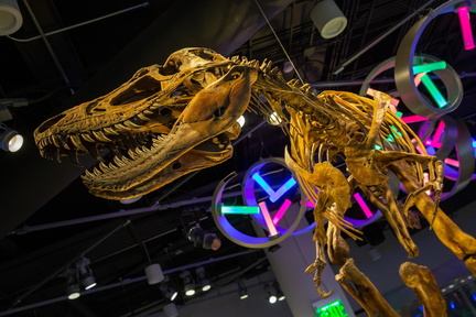 Museum Untold Tour