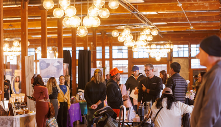 Wellness and Harmony Festival
