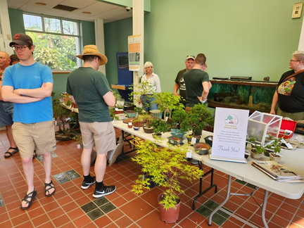 Cleveland Bonsai Club Spring Show