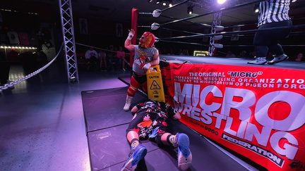 Micro Wrestling