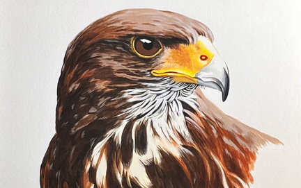 Stark Art