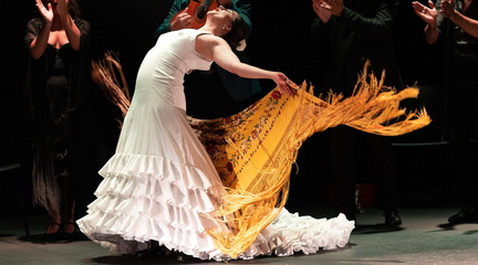 LOVE FLAMENCO