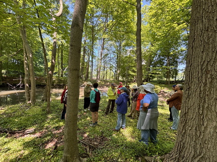 Native Plant Hike