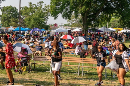 The Music City Freedom Festival