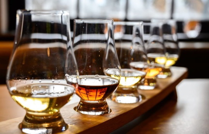 Wild Safari Bourbon &amp; Whiskey Tour