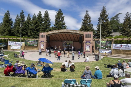 Morgan Hill Mushroom Festival