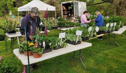Market in the Park Rochester