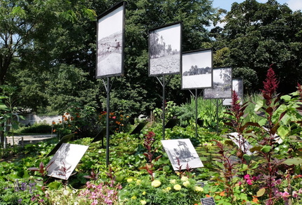 As the Crow Flies: Garden Tour