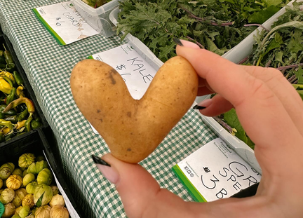 Outdoor Farmers Market