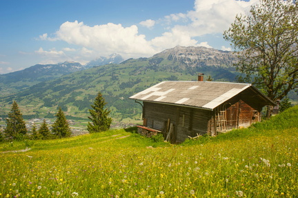 NOT APPROVED Sound of Music