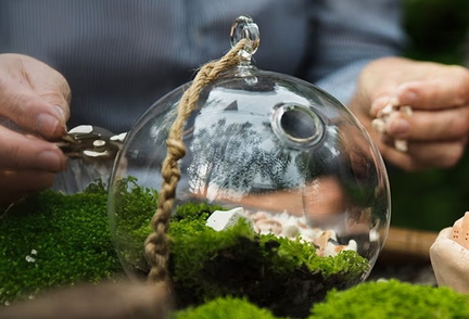 Terrarium Art (In Person Class)