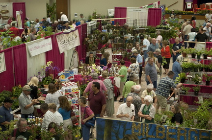 Festival of Flowers
