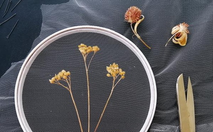 Sit 'n' Stitch - Brampton Library.v1