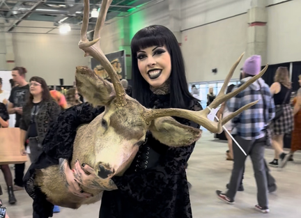 Oddities &amp; Curiosities Expo