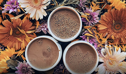 New Moon, Cacao & Soundbath Ceremony