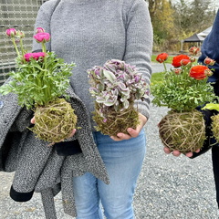 Moss Hanging Basket Workshop at Darts Hill Garden