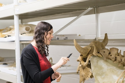 Richard Caners Curator of Botany