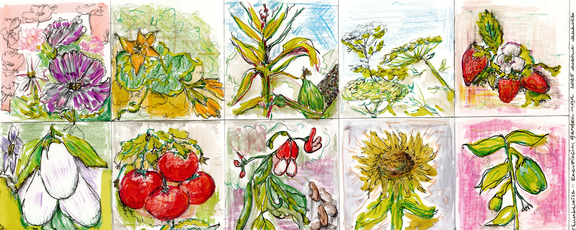 Opening The Reciprocity Garden
