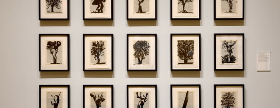 Seniors' Tour | Life in Print