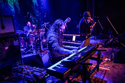 Bearly Dead LIVE