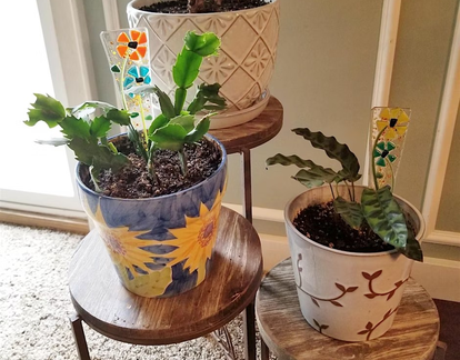 Glass Flowers Plant Stakes or Nightlight Workshop - Whitmore Lake