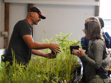 Native Plant Expo &amp; Marketplace