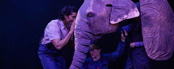The Vanishing Elephant